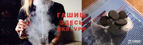 индика Балахна