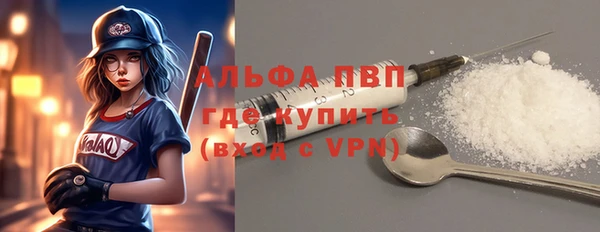 индика Балахна