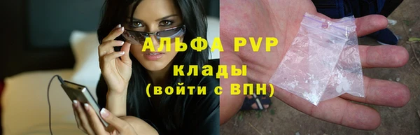 индика Балахна
