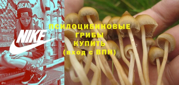 молекула духа Слюдянка
