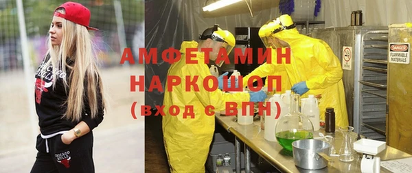 молекула духа Слюдянка