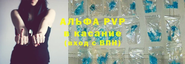 индика Балахна