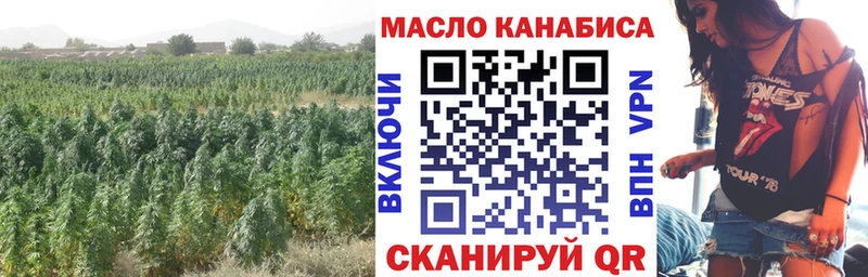 купить закладку  Петушки  ТГК жижа 